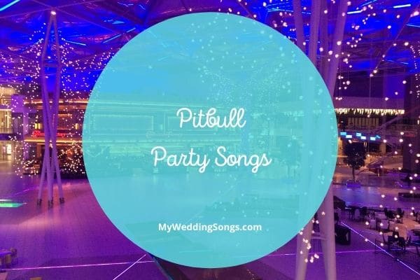 pitbull party songs